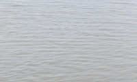 Ragazzo Indù sulla riva del Gange a Varanasi, Uttar Pradesh, India