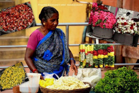 Venditrice di fiori, Kanchipuram